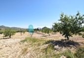 Casa de campo con terreno en venta en la España, Lorca, ref: TR145261 foto