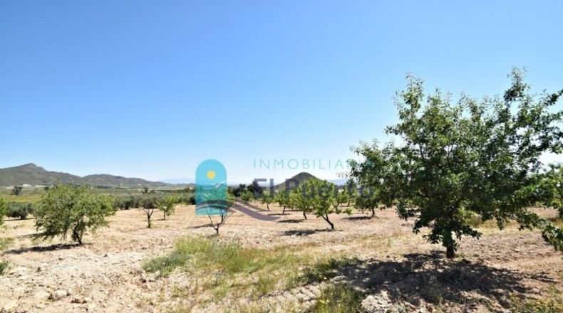 Murcia - Mazarrón - 57200m2