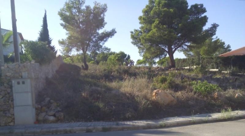València - La Font d'en Carròs - 830m2