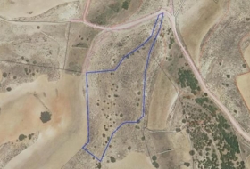 Alcaraz 825000&nbsp;m²