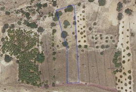 Alcaraz 825000&nbsp;m²
