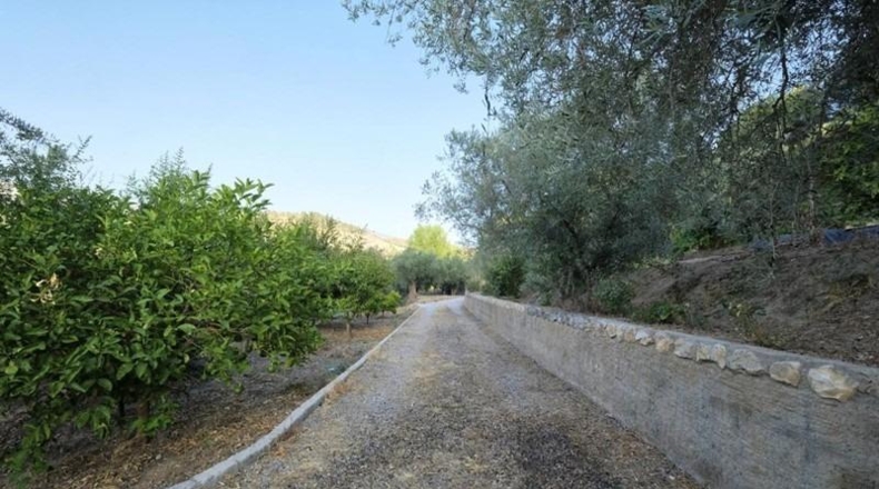 Granada - Cozvíjar - 880m2
