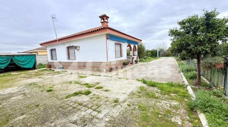 Sevilla - Carmona - 2500m2