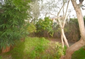 Suelo urbano en venta en la España, Muro, ref: TR364251 foto