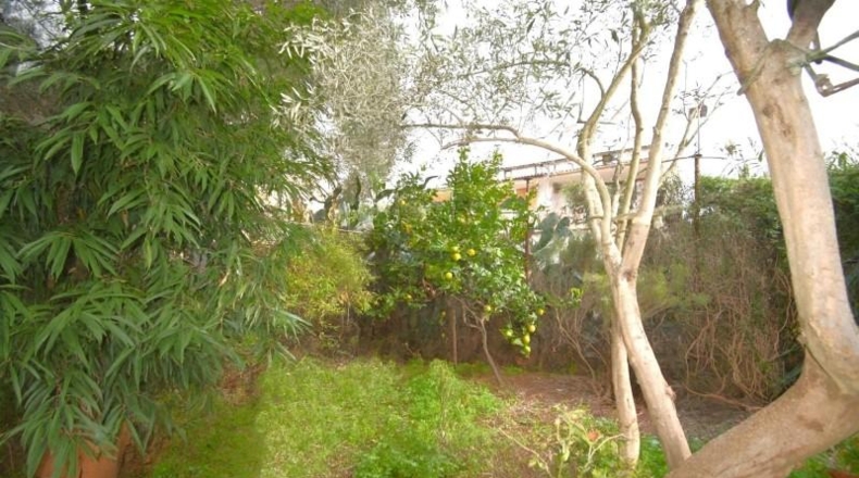 Illes Balears - Muro - 275m2