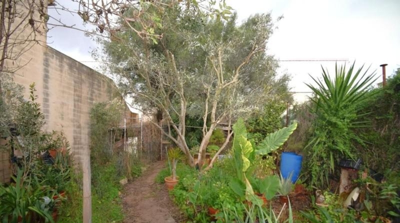 Illes Balears - Muro - 275m2