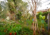 Suelo urbano en venta en la España, Muro, ref: TR364251 foto