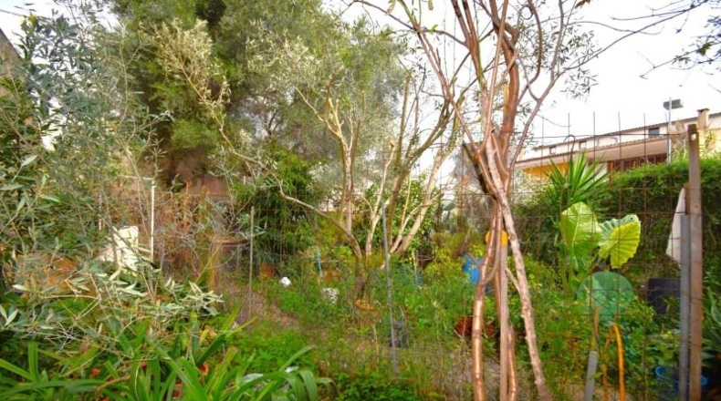 Illes Balears - Muro - 275m2