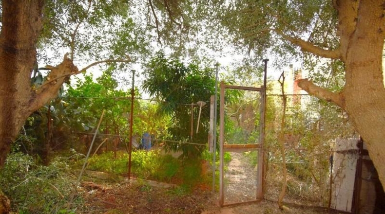 Illes Balears - Muro - 275m2