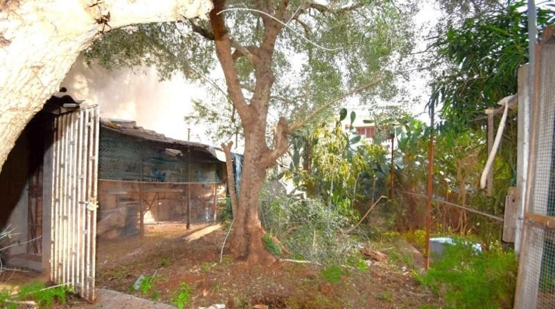 Illes Balears - Muro - 275m2
