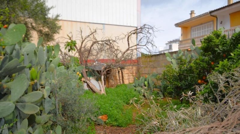 Illes Balears - Muro - 275m2