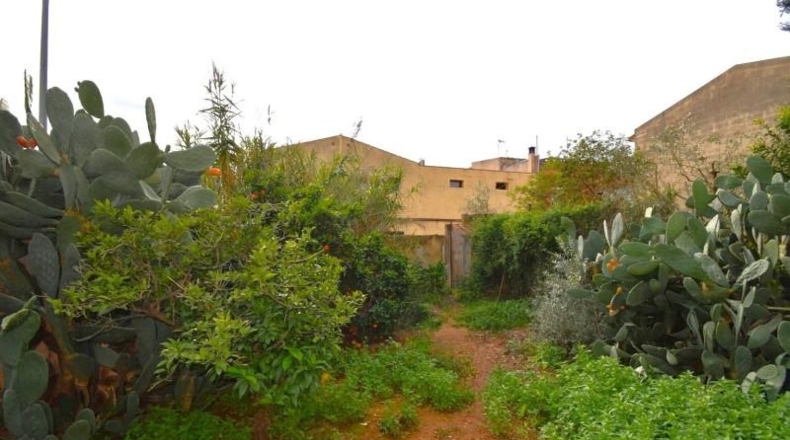 Illes Balears - Muro - 275m2