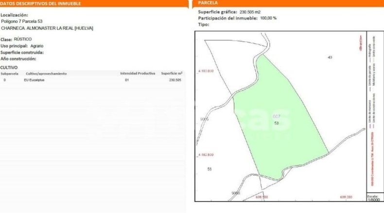 Huelva - Almonaster la Real - 300000m2