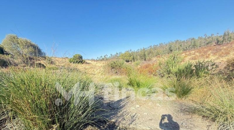 Huelva - Almonaster la Real - 300000m2