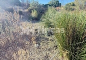 Terreno no urbanizable en venta en la España, Almonaster la Real, ref: TR353562 foto