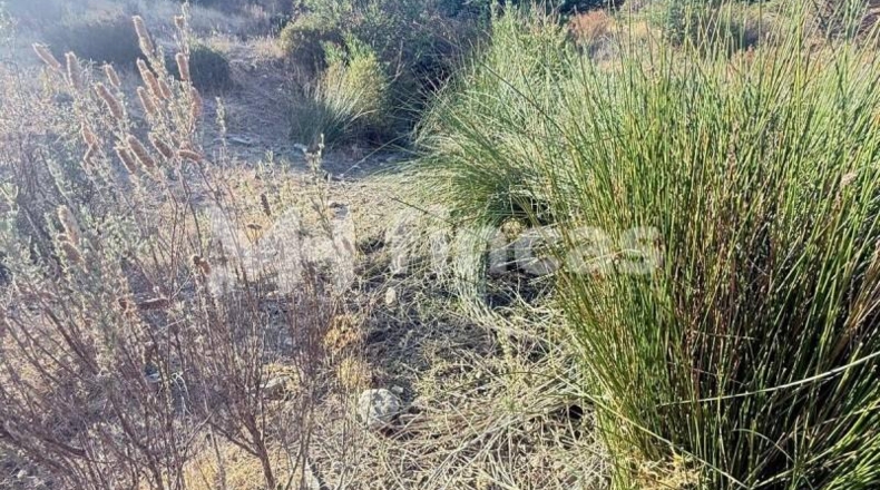 Huelva - Almonaster la Real - 300000m2
