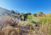 Terreno no urbanizable en venta en la España, Almonaster la Real, ref: TR353562 foto
