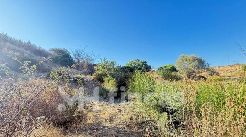 Huelva - Almonaster la Real - 300000m2