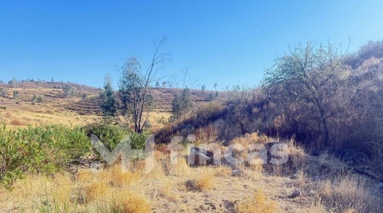 Huelva - Almonaster la Real - 300000m2