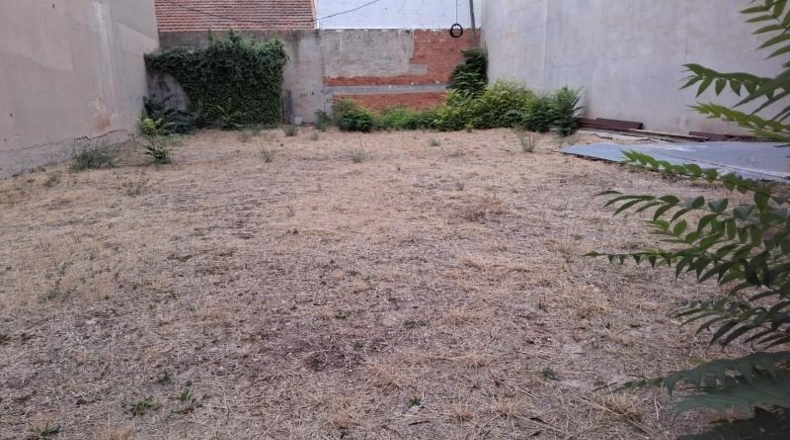 León - Almanza - 298m2
