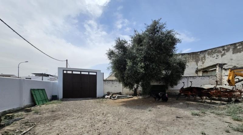 Córdoba - Benamejí - 891m2