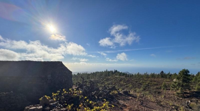 Santa Cruz de Tenerife - Granadilla de Abona - 50431m2
