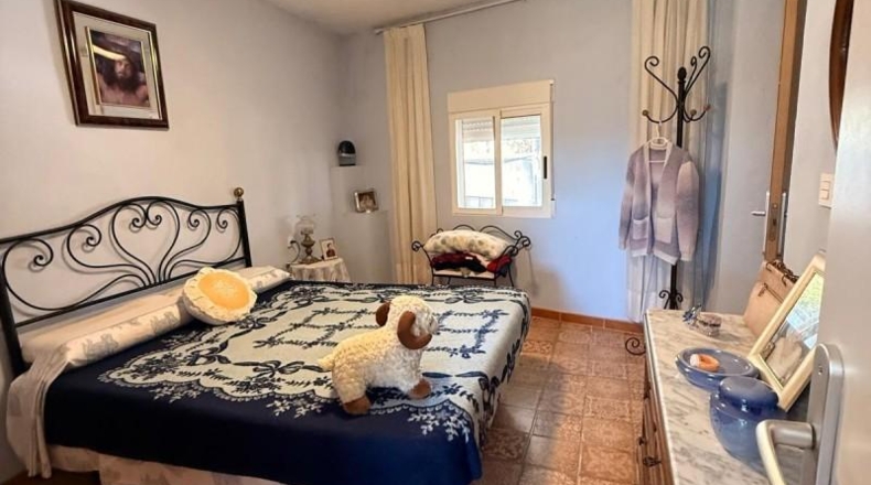 Alicante - Dolores - 7353m2