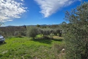 Sant Mateu 30000&nbsp;m²