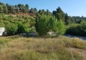 Suelo urbano en venta en la España, Carme, ref: TR314223 foto