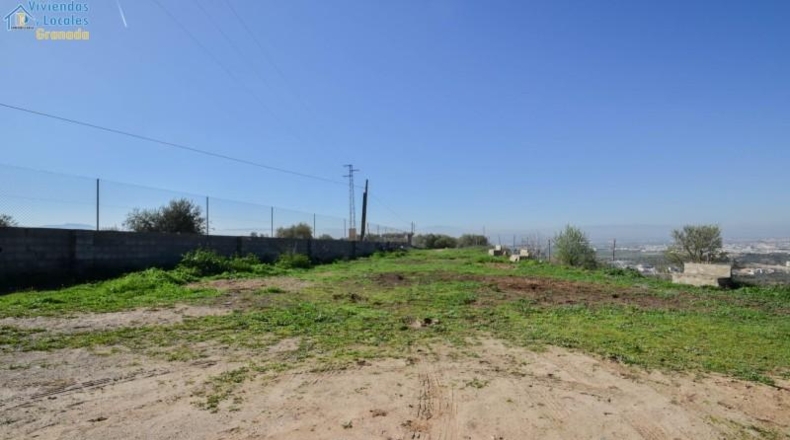 Granada - Granada - 31700m2