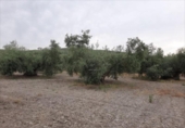 Terreno no urbanizable en venta en la España, Lucena, ref: TR194536 foto