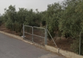Parcel·la urbanitzable en venda a la España, Lucena, ref.: TR242010 foto