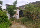 Country house with land for sale on España, Frigiliana, ref: TR245429 photo