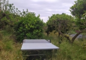 Country house with land for sale on España, Frigiliana, ref: TR245429 photo