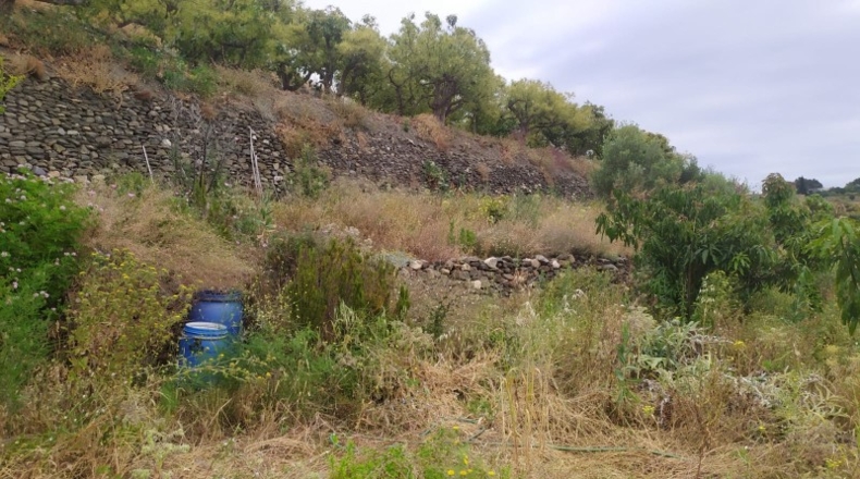 Málaga - Frigiliana - 1696m2