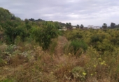 Country house with land for sale on España, Frigiliana, ref: TR245429 photo