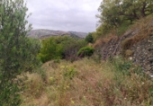 Country house with land for sale on España, Frigiliana, ref: TR245429 photo