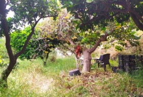 Foto 15