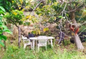 Country house with land for sale on España, Frigiliana, ref: TR245429 photo