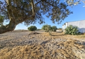 Chalet independiente con terreno en venta en la España, Chiclana de la Frontera, ref: TR410256 foto