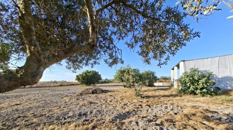 Cadiz - Chiclana de la Frontera - 9600m2