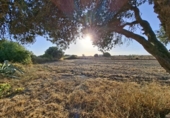 Chalet independiente con terreno en venta en la España, Chiclana de la Frontera, ref: TR410256 foto