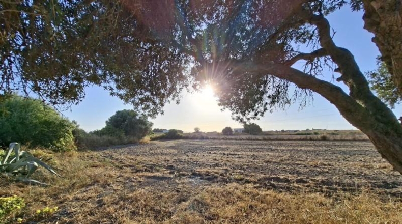 Cadiz - Chiclana de la Frontera - 9600m2