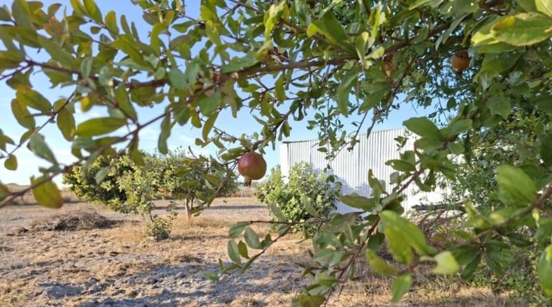 Cadiz - Chiclana de la Frontera - 9600m2