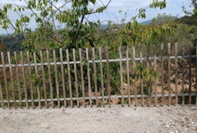 Foto 13