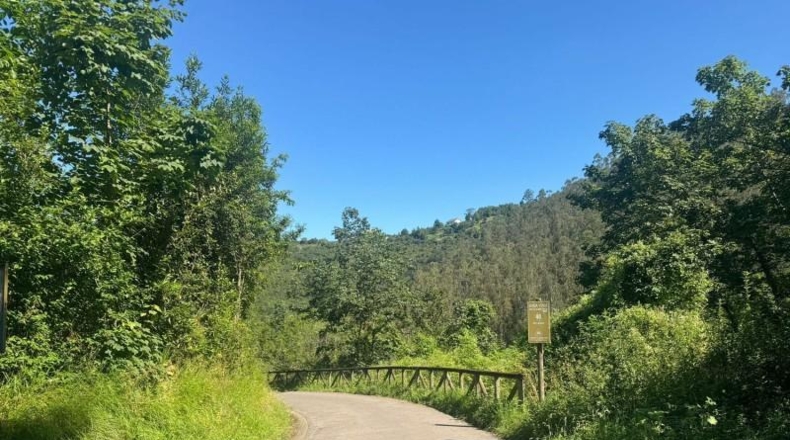 Asturias - Oviedo - 1679m2