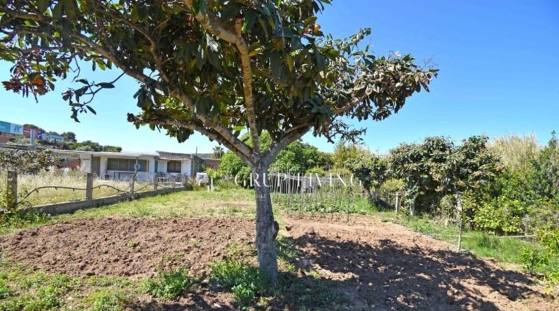 Barcelona - Sitges - 501m2