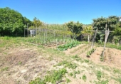 Terreno no urbanizable en venta en la España, Sitges, ref: TR130655 foto