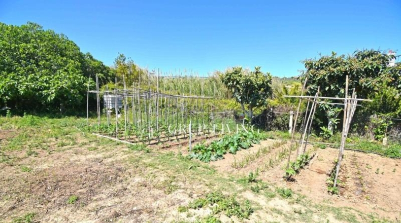 Barcelona - Sitges - 501m2