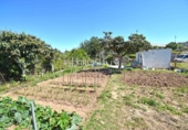 Terreno no urbanizable en venta en la España, Sitges, ref: TR130655 foto
